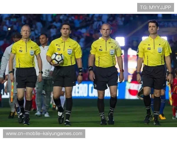 裁判机构发布年度执法报告，透明化推进，裁判执法能力